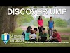 DISCOVER UMP