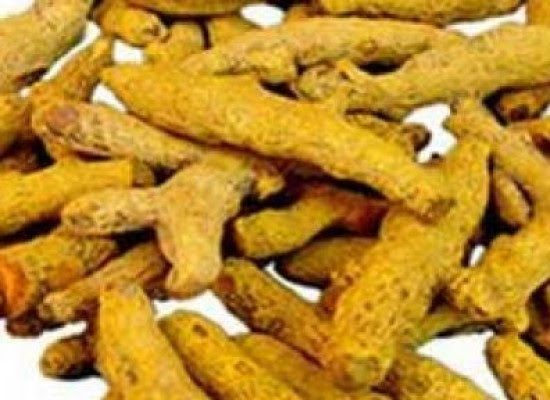 ΛΙΝΑΡΟΣΠΟΡΟΣ ΚΑΙ ΘΕΡΑΠΕΙΑ | Bioathens