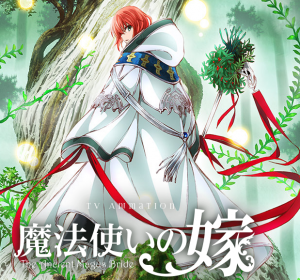 魔法使いの嫁 7巻ネタバレ感想 8巻発売日予定 Tvアニメ化決定 メガネの底力