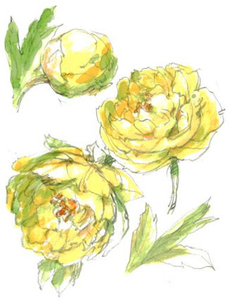 ブログ美術館 ボタン 動画 塗り絵 塗り絵で癒し 風景画 花の絵