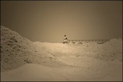 Ice Locked Harbor