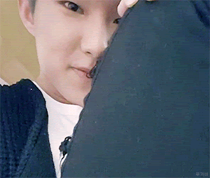 http://images6.fanpop.com/image/photos/39900000/Hoshi-seventeen-39990416-300-254.gif