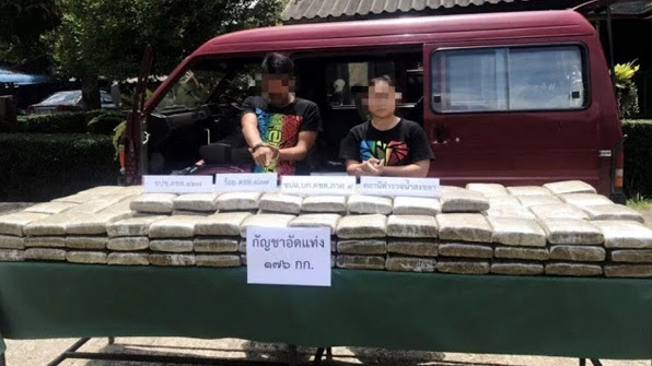 Polis Thailand Tahan Rakyat Malaysia Bawa Ganja 176KG Bernilai Setengah Juta Ringgit