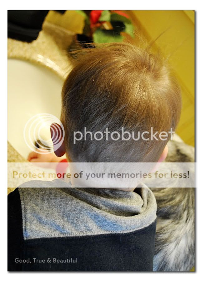  it seems very silly to spend good money on a haircut for a two year old.