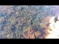 Видео 2017 04 16 - утро Пасхи в Алуште. Кофе на берегу моря