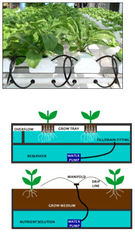 Ebb and Flow system