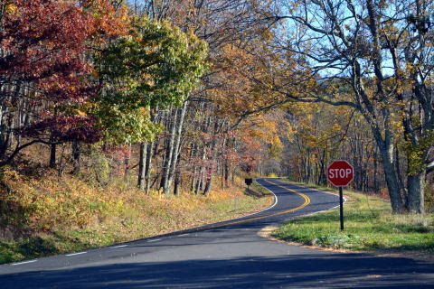Shenandoah