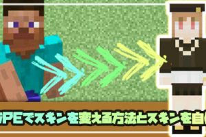 マイクラスイッチでスキンを変える方法 マイクラモール