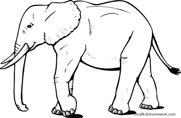 Camel Outline and Coloring Picture