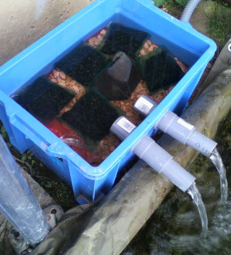 自作で濾過装置を作る 魚を飼うには水槽や池だけがあれば良い訳ではありません 魚は水の中で餌を食べ糞をして生活します 自然の川や湖なら自然浄化されますが スペースの限られた水槽や池ではどうしても 濾過装置が必要になります 水の濾過には