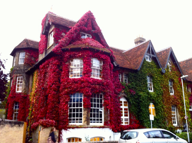 Lovely Cambridge | The Trishaw