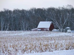 barnsnow3