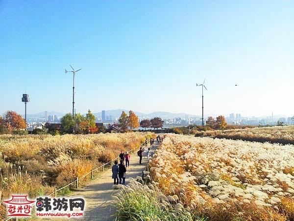蓝天公园 韩国景点 韩游网
