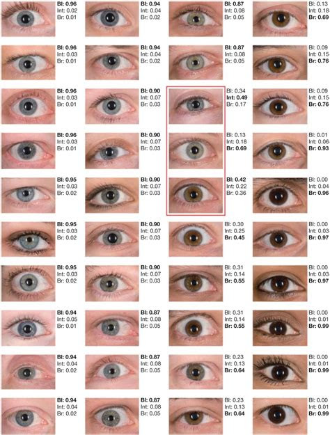  the silver millennium eye color facts eye color chart eye color