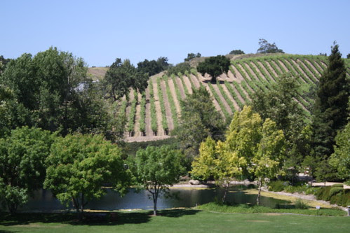 Bridlewood Estate Winery