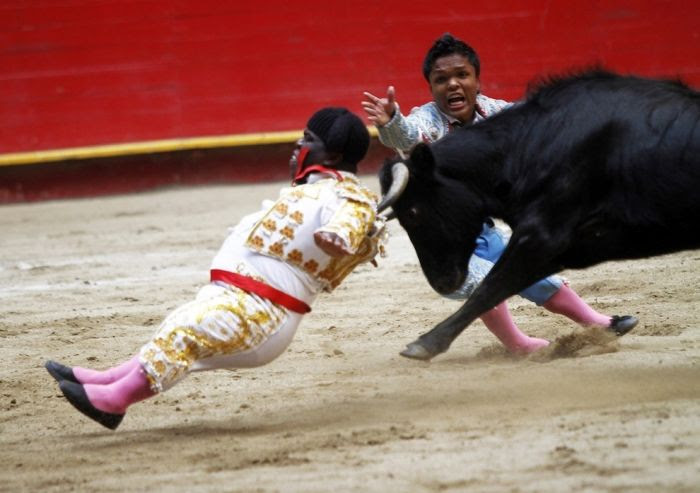 Dwarf Bullfighters from Colombia and Mexico (22 pics)