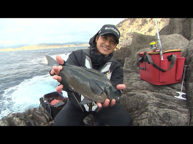 平和卓也 Shimano Tv