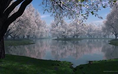和柄ポータルブログ わがらが Blog Archive もうすぐ春ですね 壁紙変えてみませんか 桜の壁紙３０枚