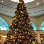 LAX-YYZ Dec 24 2015-005