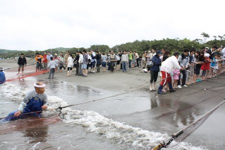 関東で地引網を体験できるところは