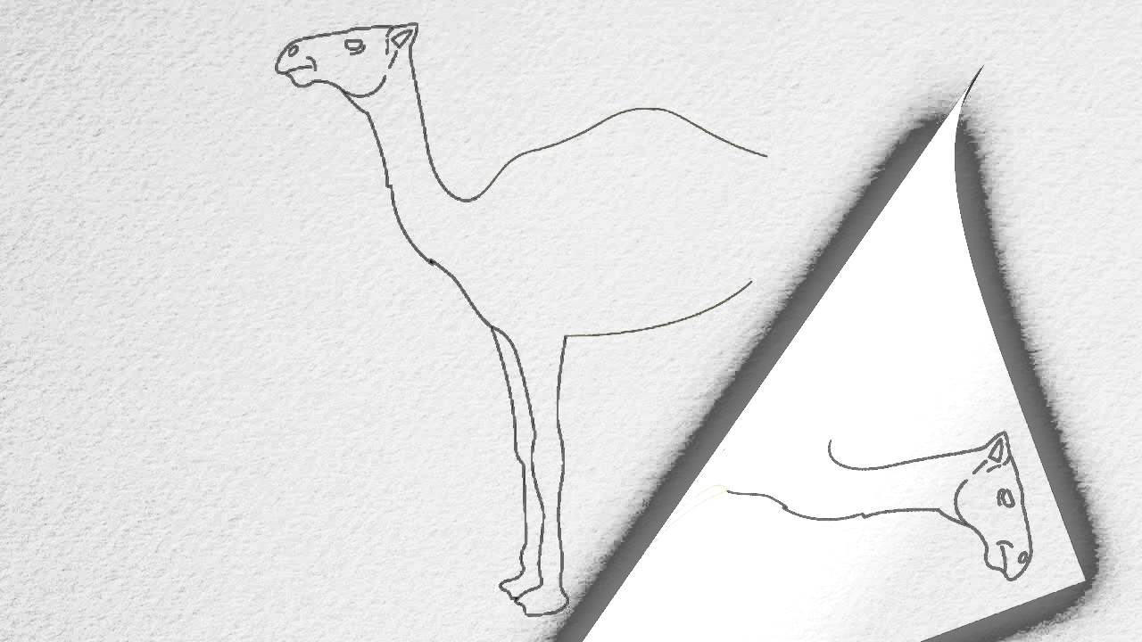 How to draw a CAMEL step by step. - YouTube