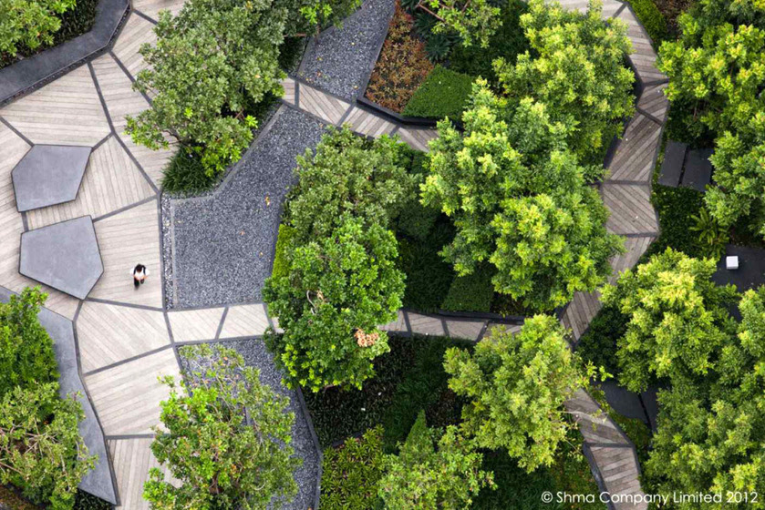 carex: garden design by carolyn mullet