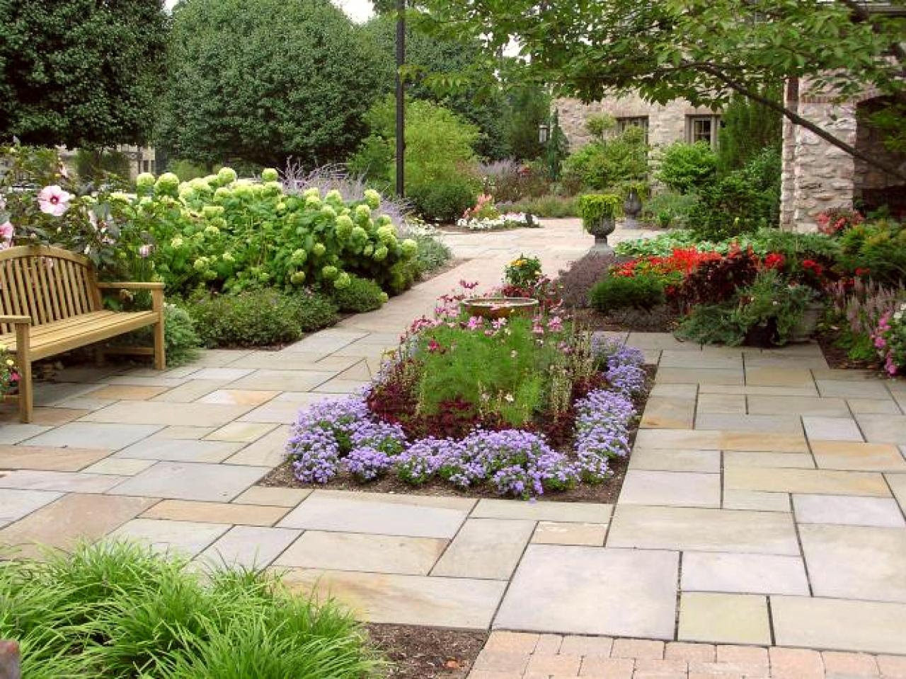 Plants for Your Patio  HGTV