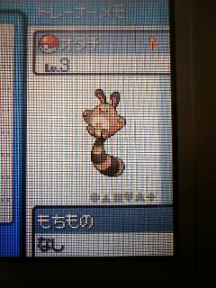オタチ オオタチの色違い ハイパーノバ