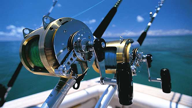 Surf Fishing Combos - Rod Reel Combos: Sports
