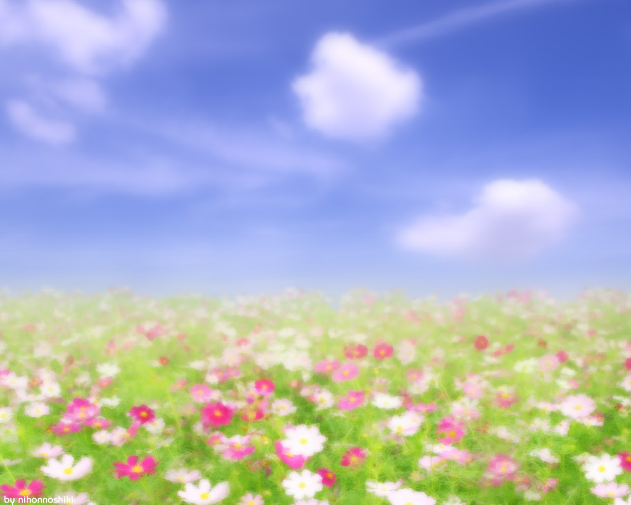 コスモスのお花畑 ワイド壁紙ギャラリー 四季の風景