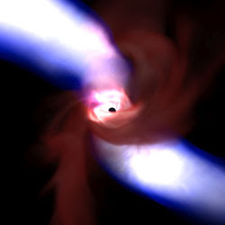 Black Hole's Environment