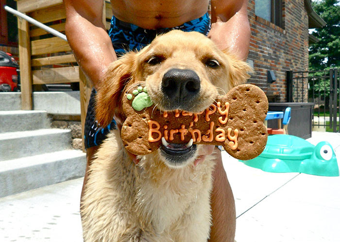お誕生日のワンコ画像選 画像 モラキジメディア 実体験型の犬メディア トリーツ専門店