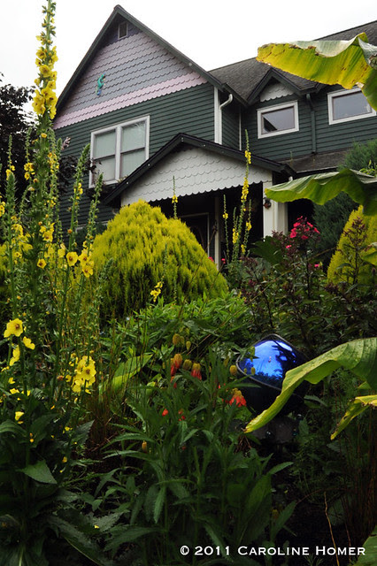 House and gardens at Dragonfly Farms