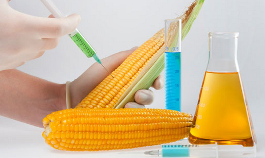 Disgusting Food Additives You Eat Everyday