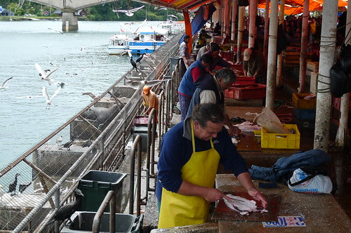 Fish Market - Valdivia, Chile