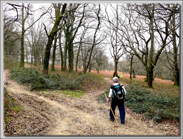 IRUN-HERNANI 9MR