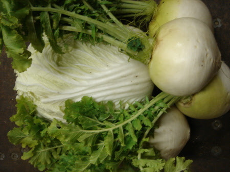 DSC06035.JPG