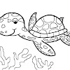 Colouring Pages Of Turtle
