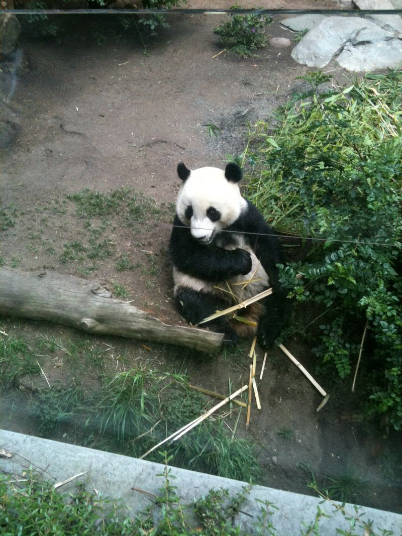 IMG_2024 IMG_2024
