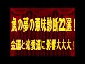 10+ 魚 釣る 夢 Article