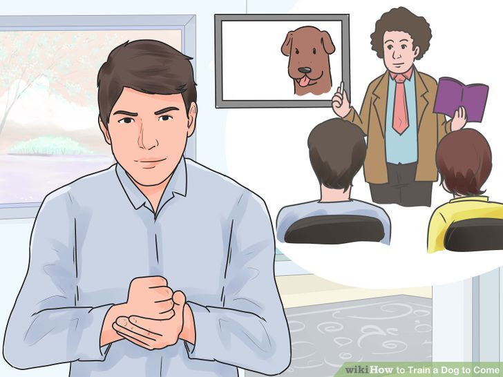 Train a Dog to Come Step 10 Version 2.jpg