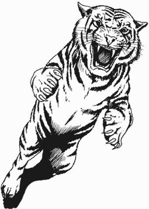Tiger Tattoo Flash Design