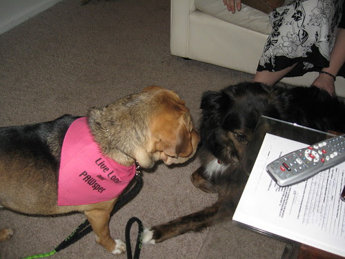 Laney and Otto