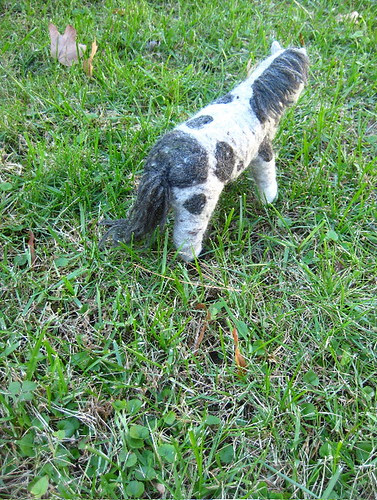 pony3