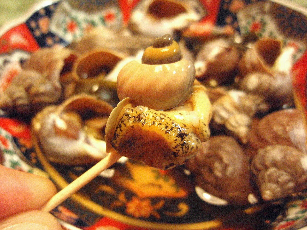 磯つぶ を煮付ける 烏合庵奇譚
