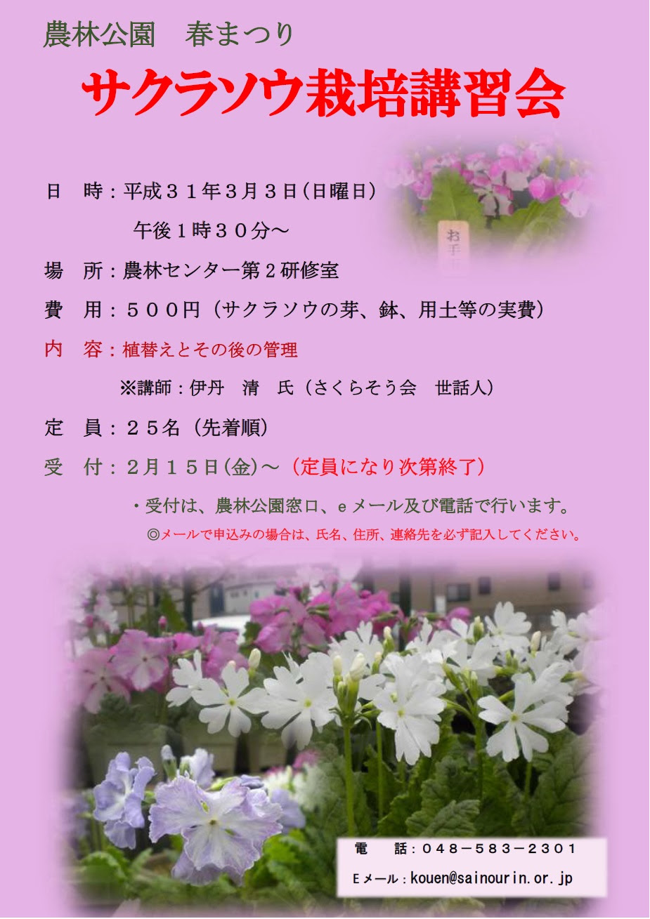 農林公園 サクラソウ栽培講習会 を開催します 埼玉県農林公園
