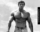When bodybuilding was nice...