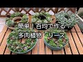 √100以上 100均 多肉 719634-100均 多肉