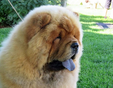 13995639_10153696852767097_7405739945745133574_o