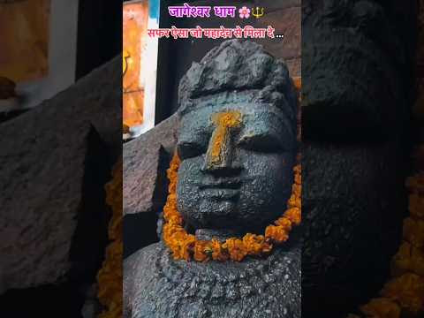 चित्र